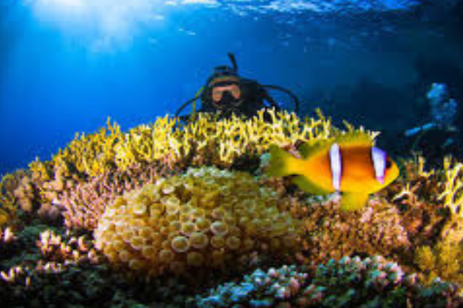 diving Hurghada